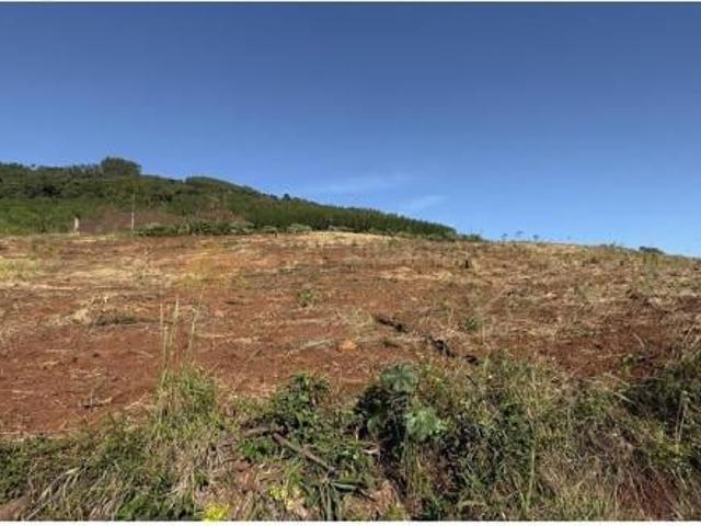 Sítio e chácara venda em Região Geográfica Imediata de Novo Hamburgo - São Leopoldo, Santa Maria do Herval