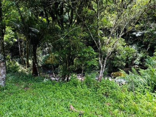 Sítio e chácara venda em Igrejinha, Região Geográfica Intermediária de Porto Alegre