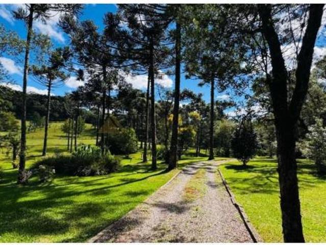 Sítio e chácara venda em Região Geográfica Imediata de Caxias do Sul, Canela