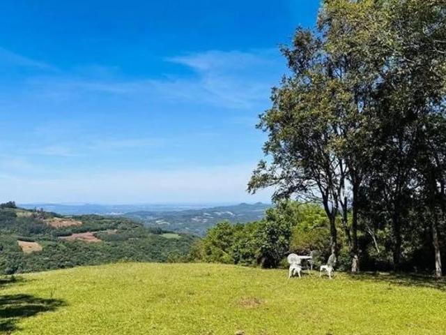 Sítio e chácara venda em Morro Reuter