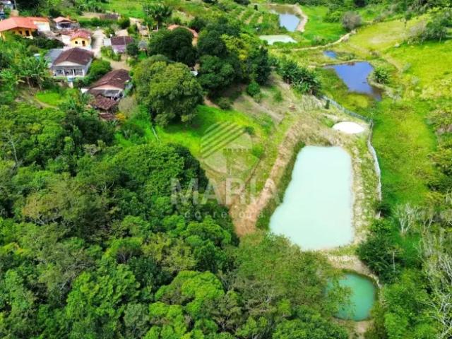 Fazenda venda em Região Geográfica Imediata de Caruaru, Gravata