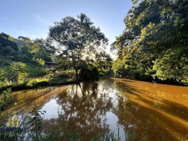Sítio e chácara venda em Região Geográfica Imediata de Teófilo Otoni, Teófilo Otoni