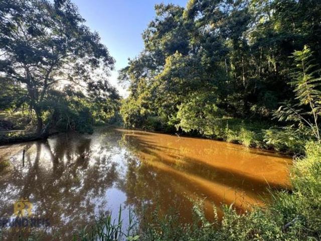 Sítio e chácara venda em Região Geográfica Imediata de Teófilo Otoni, Teófilo Otoni
