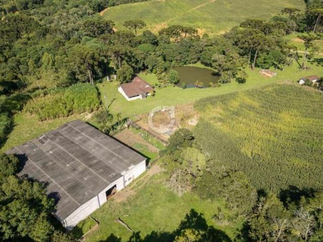 Sítio e chácara venda em Região Geográfica Imediata de Curitiba, Região Metropolitana de Curitiba