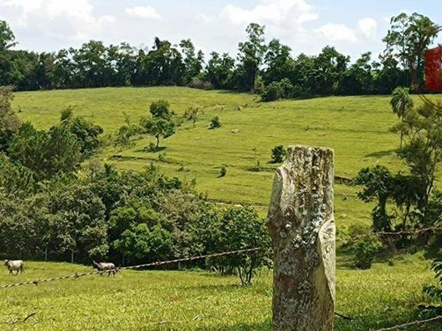 Sítio e chácara venda em Porto Feliz