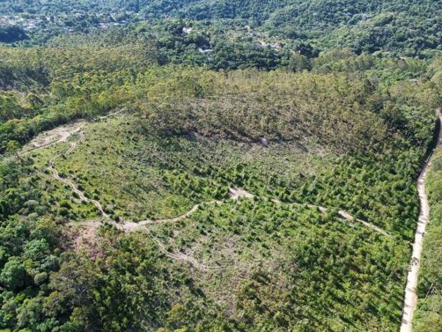 Sítio e chácara venda em Região Imediata de São Paulo, Região Metropolitana de São Paulo