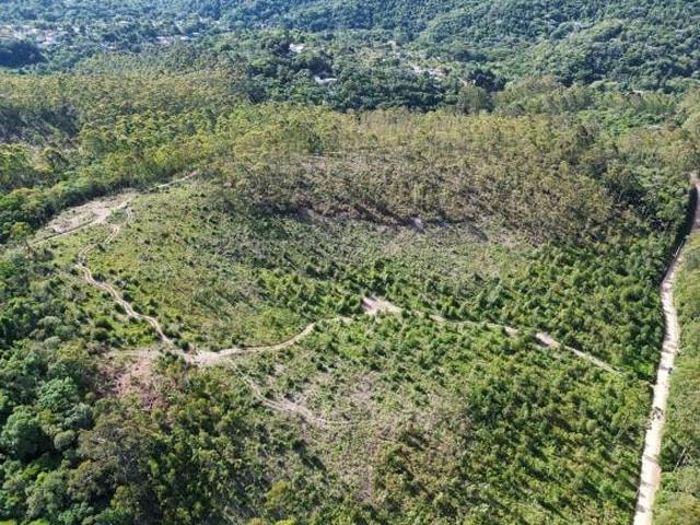Sítio e chácara venda em Região Imediata de São Paulo, Região Metropolitana de São Paulo