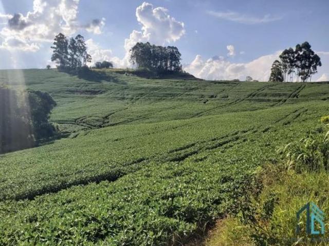 Sítio e chácara venda em Iretama, Região Geográfica Intermediária de Maringá