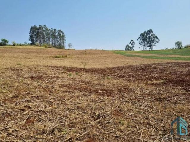 Sítio e chácara venda em Região Geográfica Imediata de Campo Mourão, Campo Mourão