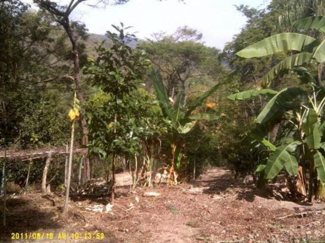 Sítio e chácara venda em Santa Luzia, Bom Destino