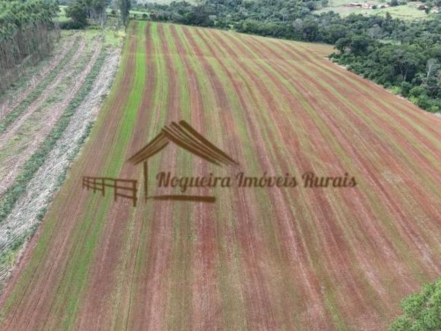 Sítio e chácara venda em Região Imediata de Tatuí, Região Metropolitana de Sorocaba