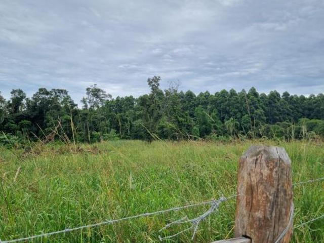 Sítio e chácara venda em Região Geográfica Imediata de Taquara - Parobé - Igrejinha, Três Coroas
