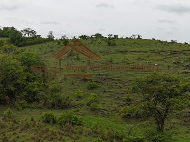 Sítio e chácara venda em Guareí, São Paulo