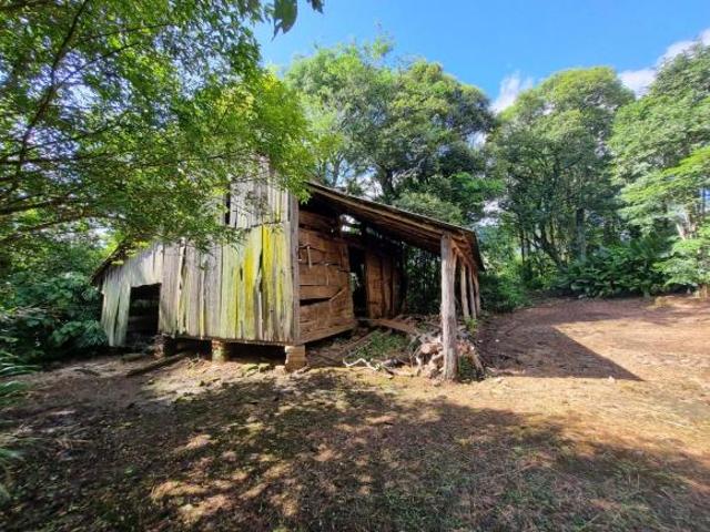 Sítio e chácara venda em Região Geográfica Imediata de Taquara - Parobé - Igrejinha, Região Metropolitana de Porto Alegre