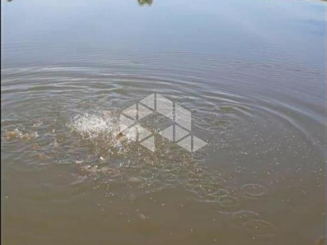 Sítio e chácara venda em Região Geográfica Imediata de Porto Alegre, Região Metropolitana de Porto Alegre