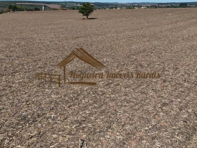 Sítio e chácara venda em Avaré, Região Geográfica Intermediária de Sorocaba