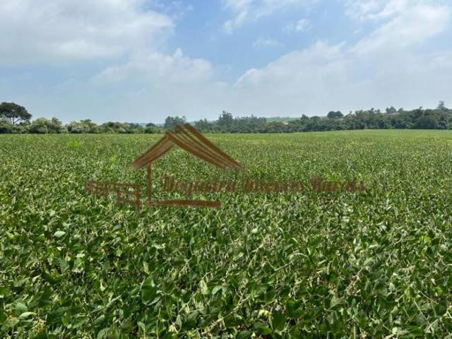 Sítio e chácara venda em Avaré, Região Geográfica Intermediária de Sorocaba