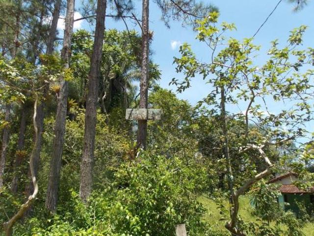 Sítio e chácara venda em Região Imediata de Registro, Juquia