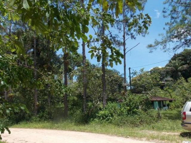 Sítio e chácara venda em Juquia, São Paulo