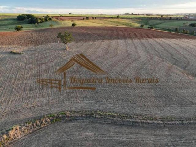 Sítio e chácara venda em Quadra, São Paulo