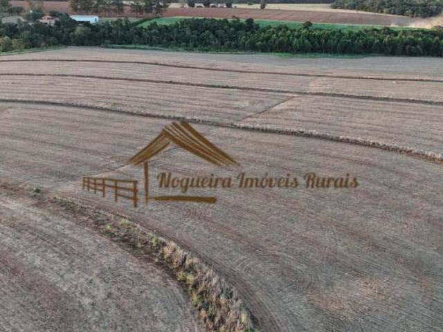 Sítio e chácara venda em Região Imediata de Tatuí, Quadra