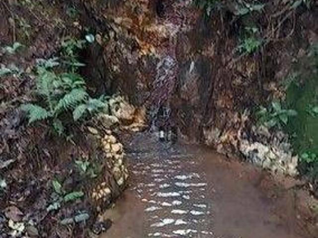 Sítio e chácara venda em Região Geográfica Imediata de Juiz de Fora, Pedro Teixeira