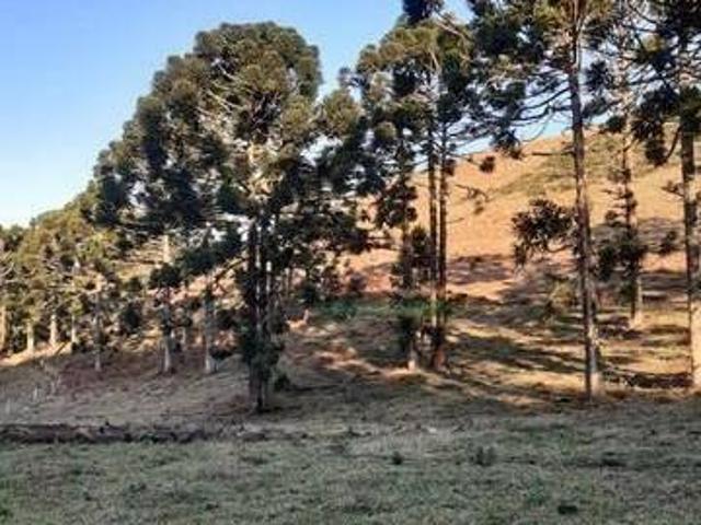 Sítio e chácara venda em Região Imediata de Guaratinguetá, Região Metropolitana do Vale do Paraíba e Litoral Norte
