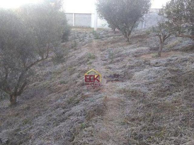 Sítio e chácara venda em Região Imediata de Guaratinguetá, Região Metropolitana do Vale do Paraíba e Litoral Norte
