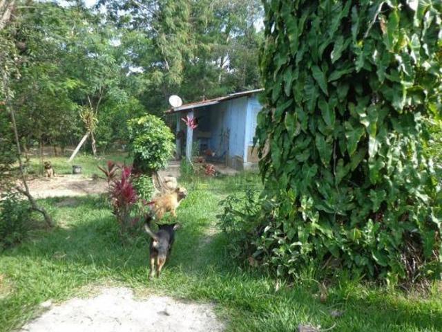 Sítio e chácara venda em Região Imediata de Sorocaba, Região Metropolitana de Sorocaba