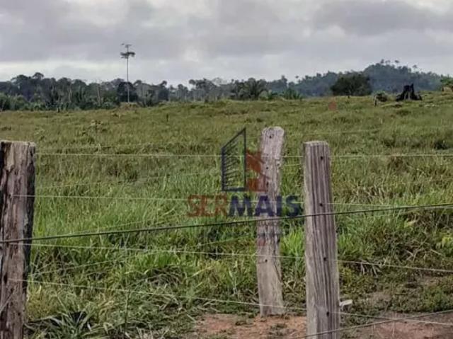 Fazenda venda em Machadinho d'Oeste, Região Norte