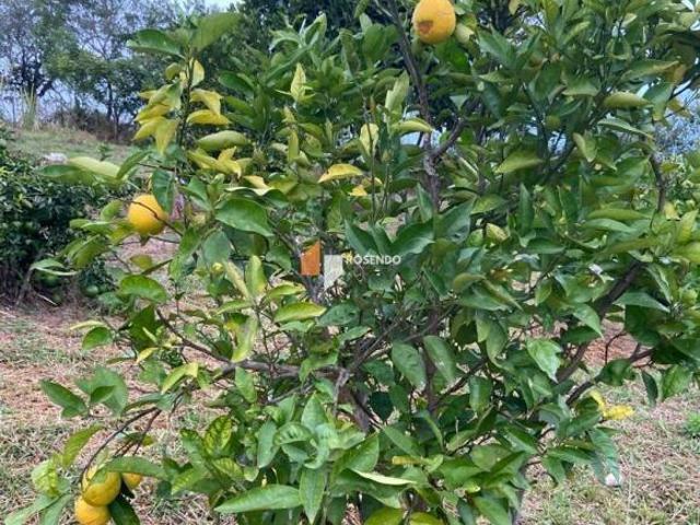 Sítio e chácara venda em Santa Branca