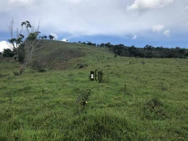 Sítio e chácara venda em Região Geográfica Imediata de Juiz de Fora, Piau