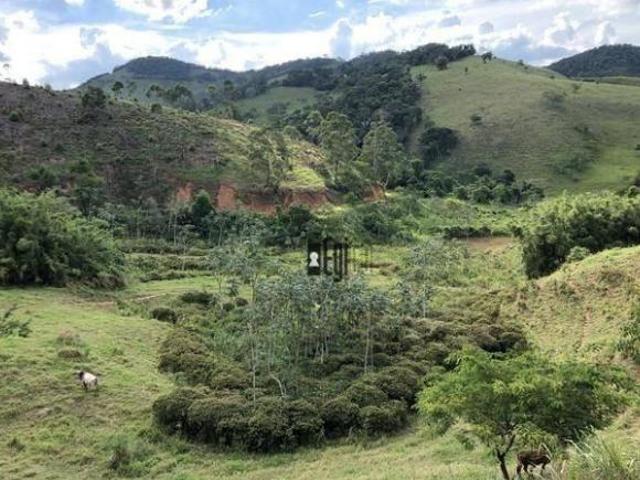Sítio e chácara venda em Região Geográfica Imediata de Juiz de Fora, Piau