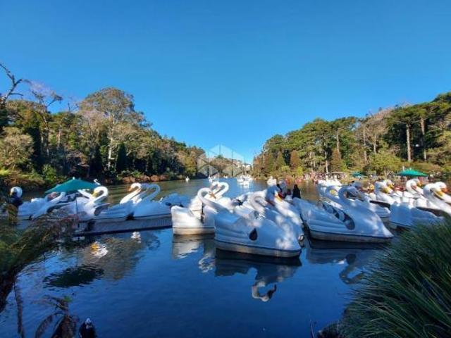 Sítio e chácara venda em Região Geográfica Imediata de Caxias do Sul, Gramado