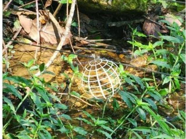 Sítio e chácara venda em Piracaia