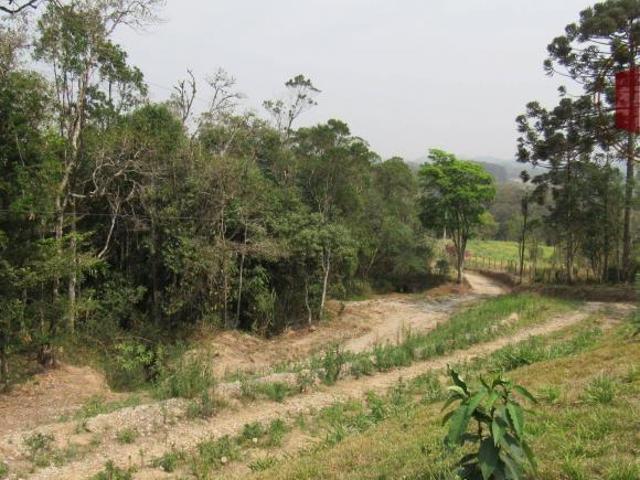 Sítio e chácara venda em Vila Quintino, Piedade