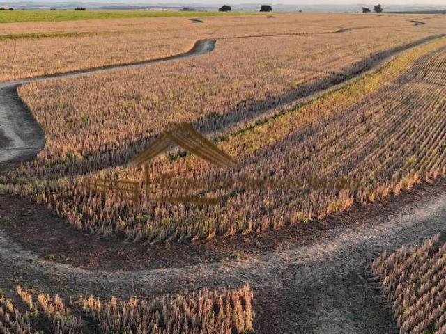 Sítio e chácara venda em Caporanga, Santa Cruz do Rio Pardo