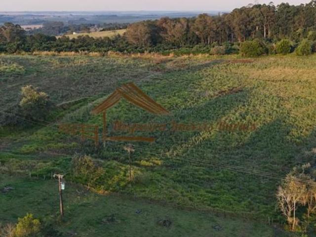 Sítio e chácara venda em Avaré, Região Geográfica Intermediária de Sorocaba