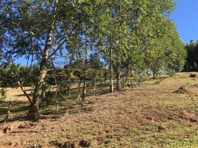 Sítio e chácara venda em Região Imediata de Guaratinguetá, Região Metropolitana do Vale do Paraíba e Litoral Norte