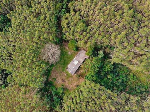 Sítio e chácara venda em Piedade, São Paulo