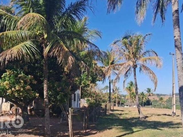 Sítio e chácara venda em Região Imediata de Marília, Guaimbê