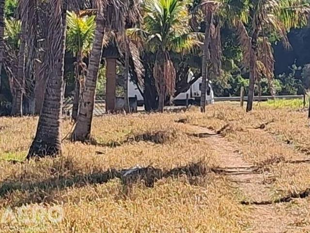 Sítio e chácara venda em Região Imediata de Marília, Guaimbê