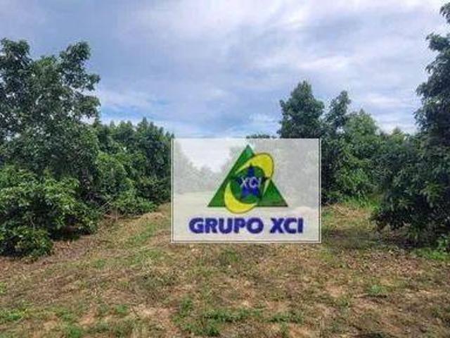 Sítio e chácara venda em Região Imediata de Campinas, Região Metropolitana de Campinas