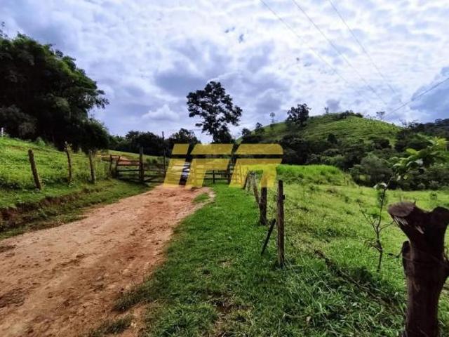 Sítio e chácara venda em Região Imediata de Guaratinguetá, Região Metropolitana do Vale do Paraíba e Litoral Norte