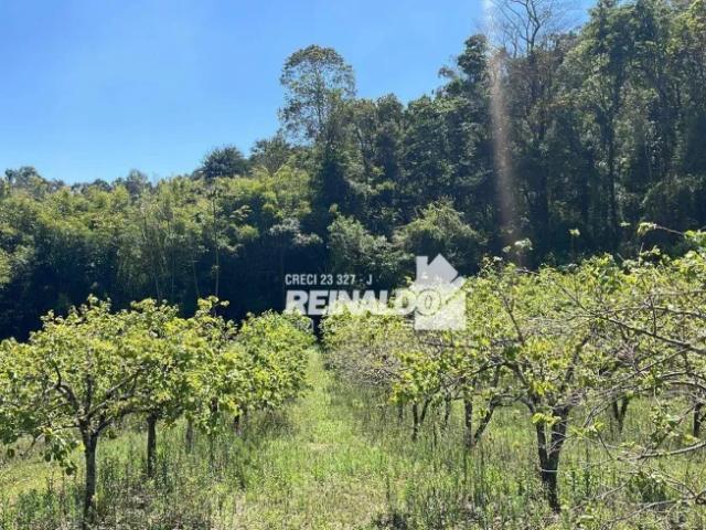 Fazenda venda em Região Imediata de Jundiaí, Região Metropolitana de Campinas