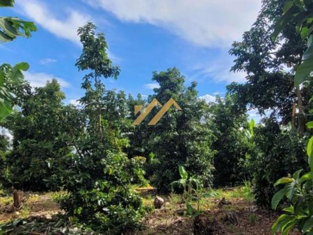 Sítio e chácara venda em Região Imediata de Campinas, Região Metropolitana de Campinas
