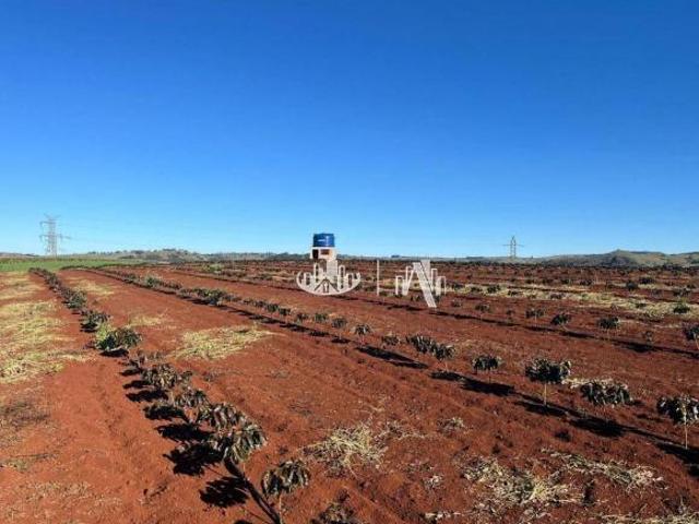 Sítio e chácara venda em Região Geográfica Imediata de Londrina, Londrina