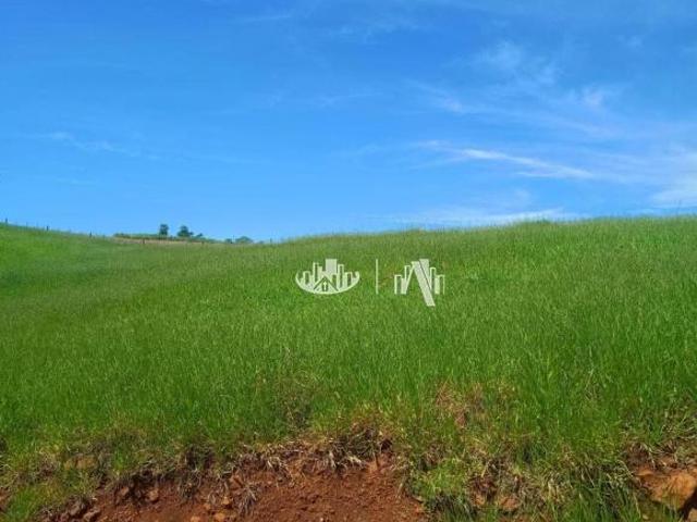 Sítio e chácara venda em Vila Nova, Uraí