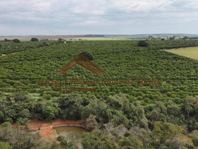 Sítio e chácara venda em Região Imediata de Avaré, Avaré