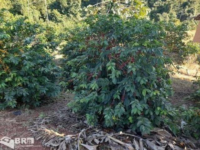 Sítio e chácara venda em Região Geográfica Imediata de Poços de Caldas, Campestre